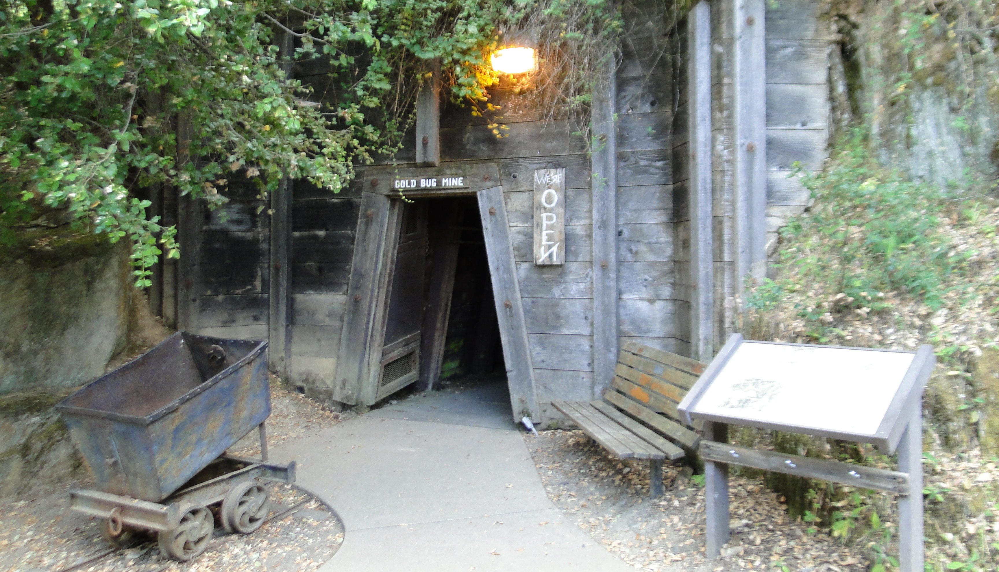 About Gold Bug Park
