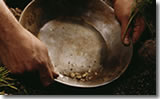 gold-panning-history